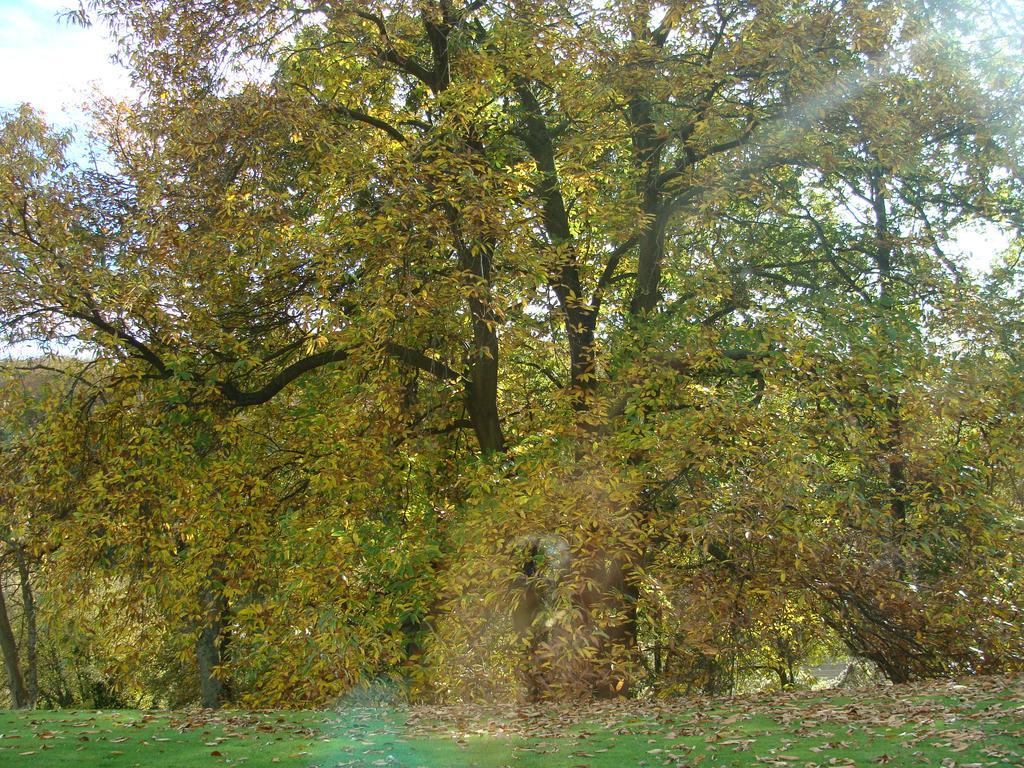 Chambre D'Hotes Les Champarts Tourville-la-Chapelle Екстер'єр фото