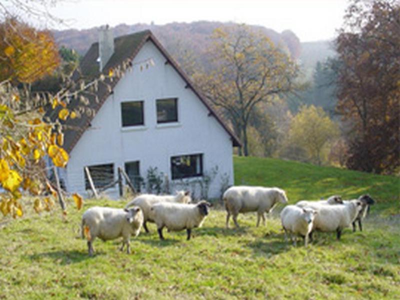 Chambre D'Hotes Les Champarts Tourville-la-Chapelle Екстер'єр фото