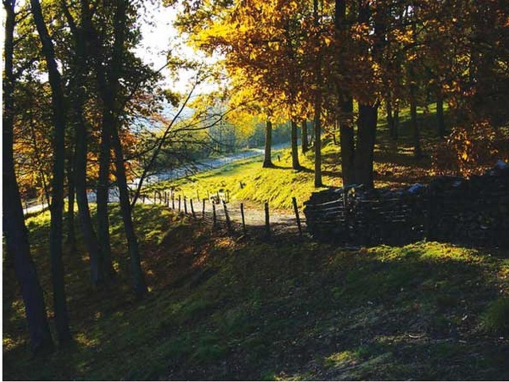 Chambre D'Hotes Les Champarts Tourville-la-Chapelle Екстер'єр фото